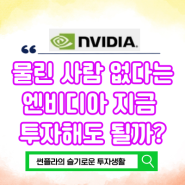 물린 사람 없다는 엔비디아 지금 투자해도 될까? 액면분할 언제?