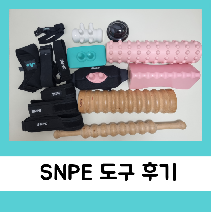 SNPE 바른자세 척추운동 도구 후기 다나손 뭔지 아세요? : 네이버 블로그
