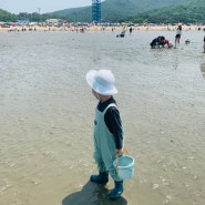 인천 하나개해수욕장 포내갯벌체험장 6월 간조 만조 물때 안내