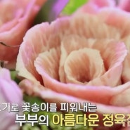 동네한바퀴 274회 자양동 성수동 손칼국수 고기꽃케이크 정원카페 꽈배기 커스텀바이크