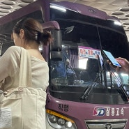 대전에서 강릉가는 법 대중교통 총정리 기차 l 시외버스 l 고속버스
