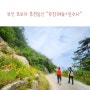 초보자등산코스추천 구포무장애숲길+운수사(아이와 반려견 동반 좋은곳)