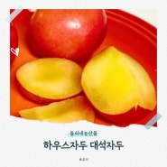 하우스자두 대석자두 가장 맛있고 가장 빠르게 받아보는 돌쇠네농산물