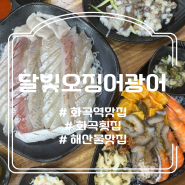 화곡 횟집 맛집 달빛오징어광어