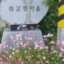 전주피아노조율 전문인 진안군 원갈현 마을에서 피아노조율 합니다 ~~^^