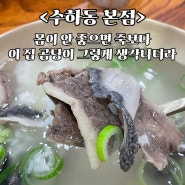 [선릉역, 삼성역 맛집] 몸이 안 좋을 때 생각나는 깔끔한 곰탕. 설렁탕 vs 곰탕 차이 <수하동 본점>