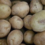 포슬포슬 감자로 만든 감자죽 만드는 방법 그리고 제철 감자 효능