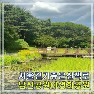 서울 걷기 좋은 산책로 남산둘레길 코스 야생화공원