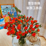 전국꽃배달 꽃정기구독 만원의행복 명정원예 알레그레아