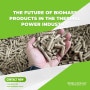 THE FUTURE OF BIOMASS PRODUCTS IN THE THERMAL POWER INDUSTRY