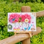 인천 김포 초등학교 유치원 가족참여수업 명화 액자 만들기 원예키트