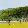 스포츠양말 KR SPORTS 축구 기능성 양말 추천