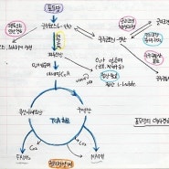 [치유음식] 노벨 생리학상을 세번 수상한 식초의 이야기/암의 발생요인과 대처법/ 암은 산소를 싫어한다