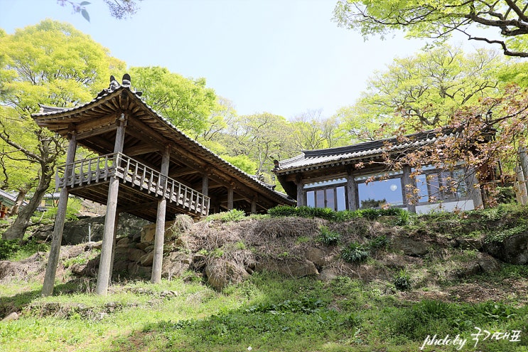 충남 서산 가볼만한곳 부석사 서산 겹벚꽃 명소 : 네이버 블로그