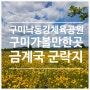 구미가볼만한곳 구미나들이 금계국인생샷, 구미낙동강체육공원