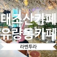 천안 태조산카페 유량동 라벤투라 커피 분위기 맛집