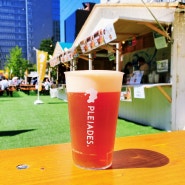 후쿠오카 PLEIADES 맥주와 함께 세계 맥주 축제를 즐겨 보세요!