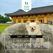 🐾강아지 산책 맛집, 덕진공원!🐾