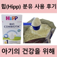 힙(Hipp) 분유 1단계 독일내수용 구입 및 사용 후기, 압타밀과의 비교