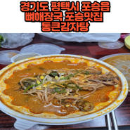 경기도 평택시 포승읍 뼈해장국 포승맛집 통큰감자탕