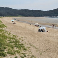 태안해안국립공원 태안 차박 캠핑 갯벌체험 하기 좋은 구례포해수욕장