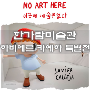 서울전시회 예술의전당 한가람미술관2층 슈퍼얼리버드 하비에르 카예하 특별전 이곳에예술은없다 NO ART HERE 전시정보