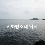 시화방조제 낚시_인생 최소 물고기들