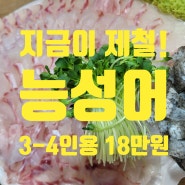 노량진 수산시장 회배달로 즐기는 고급 진 능성어