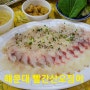 해운대 횟집 빨간산오징어 맛있는 오징어회