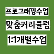 포항파이썬학원 프로그래밍 방학특강 개강안내 개발자과정