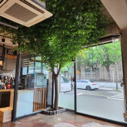 평택 비전동 카페 풍성하고 시원한 인조느티나무 한그루 시공