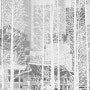 박병일(PARK, Byung Il,1978년~ 년,도시 풍경을 담묵으로 여백의 미학'에 충실하고,하나하나의 점들이 모여 형상을 보여주는 방식창작하는 한국화 화가 )
