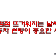 뜨거워지는 지구, 자동차썬팅 시공으로 운전순간 만큼은 자외선 노출을 줄여야 할 때