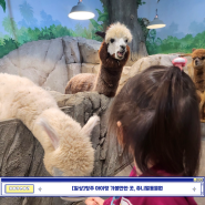 [일상]청주 아이랑 가볼만한 곳, 쥬니멀동물원