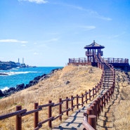 [제주도] 제주 동쪽 조천읍 산책하기에도 사진 찍기에도 좋은 '닭머르해안길'