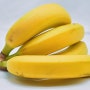 바나나 1개 칼로리 효능 완숙정도에 따라 달라요!