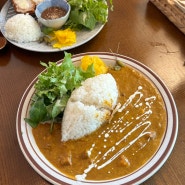 대전 반석동 카레 돈까스 맛집 안다미로 일본 가정식