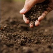 식물이 원하는 흙 만들기
