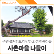 경북 의성 대표 전통마을, 여름철 물놀이장도 가까운 사촌마을