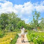 6월 꽃구경 수원 신동카페거리 신동수변공원 수국 명소