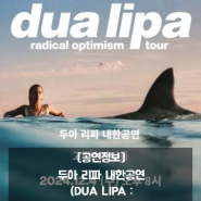 [공연정보] 두아 리파 내한공연 (DUA LIPA : Radical Optimism Tour 2024) 티켓팅 방법 및 오픈일정,가격,위치 등