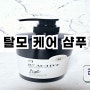 바이오틴 탈모샴푸 추천 / 맥주효모 비오틴 후기