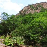 설악산 끈적쥐꼬리풀(여우꼬리풀), 도깨비부채, 금마타리, 숙은처녀치마, 노랑갈퀴, 금강봄맞이, 큰앵초