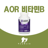 AOR 비타민B 성분 함량 효능 후기 종결