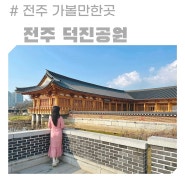 전주 덕진공원 가볼만한곳 연화정도서관 연꽃 공사 주차장