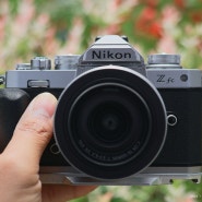 니콘Zfc 빈티지카메라와 DX 16-50mm F3.5-6.3 VR 번들렌즈 조합의 꽃사진 샘플│입문용카메라 기본 세트로 사진잘찍는법 : 광각과 망원의 차이