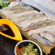 대전 궁동 맛집 강도다리 전문점으로 유명한 회쳐모여