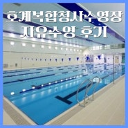안양 원정수영 호계복합청사수영장 자유수영 후기