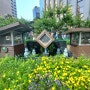 첫집은 신축 갈아탈 집은 학교랑 학군 좋은 구축으로 이사하는 엄마들 특히 서울