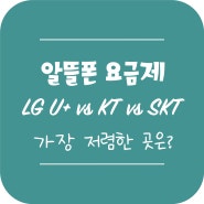 [알뜰폰] 11GB + 2GB LG U+ KT SKT 알뜰폰 3사 가격 비교 무료 유심
